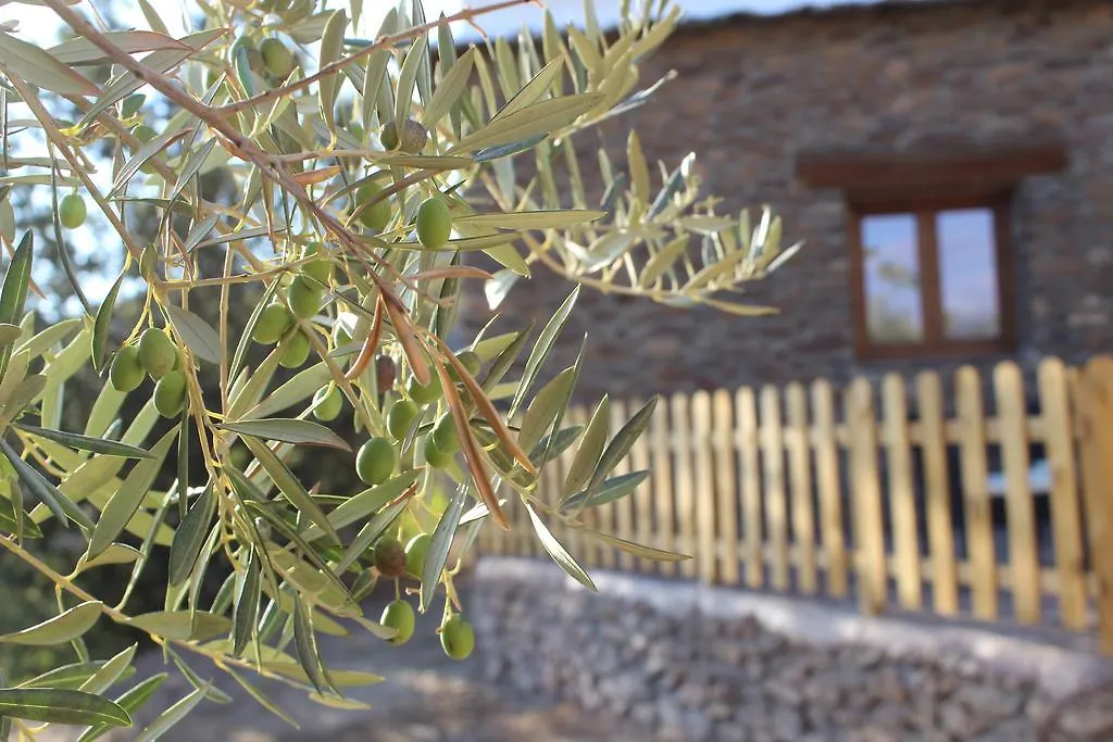Dreams Alpujarra Apartment Pampaneira