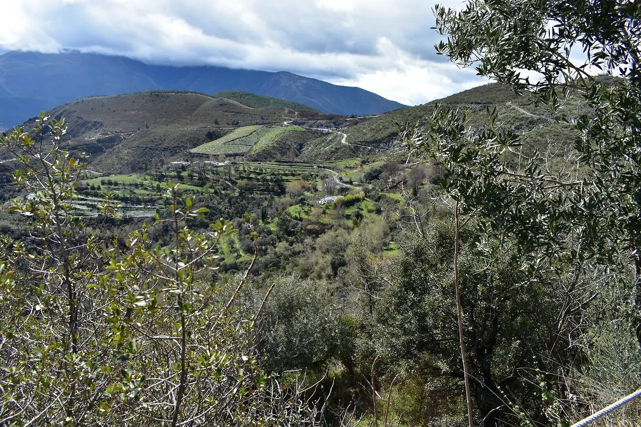 Dreams Alpujarra Apartment Pampaneira 0*,