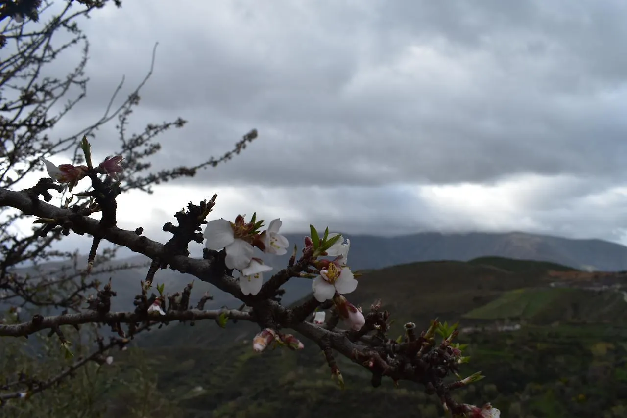 Dreams Alpujarra Apartment Pampaneira